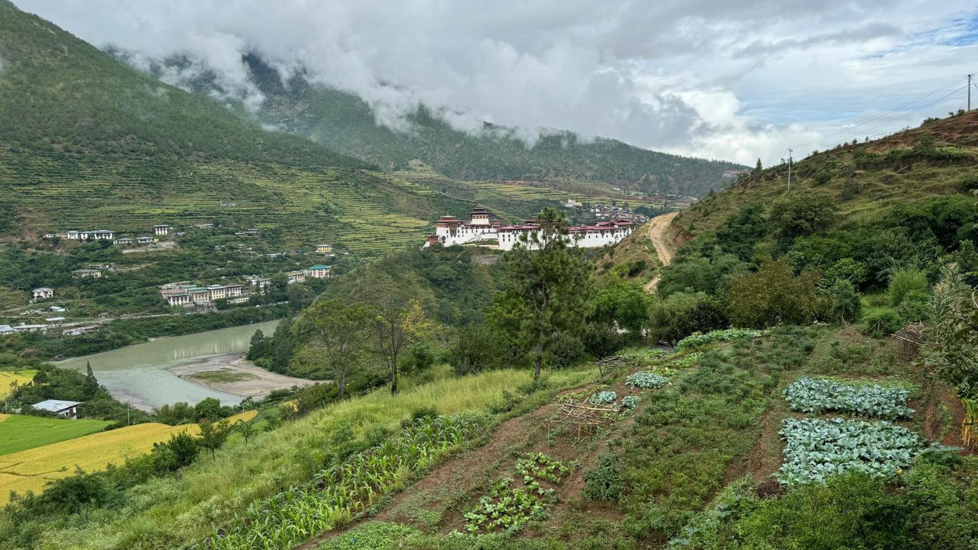Wangdue Ecolodge Wangdue Phodrang Exterior foto